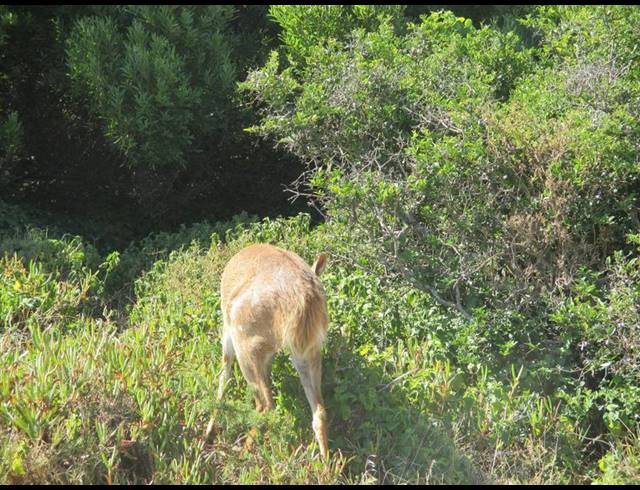 LAND FOR SALE IN MOQUINI